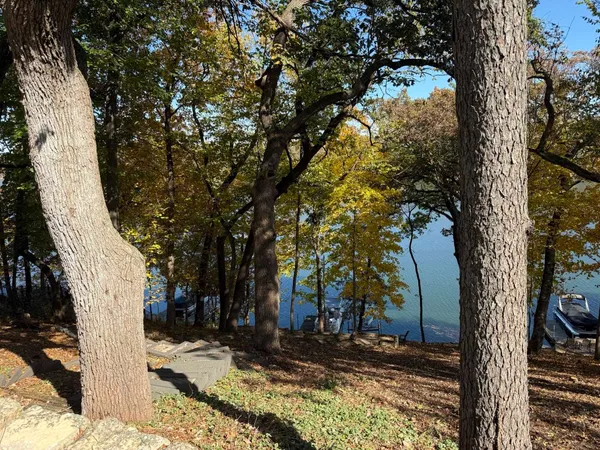 a view of a backyard with large trees