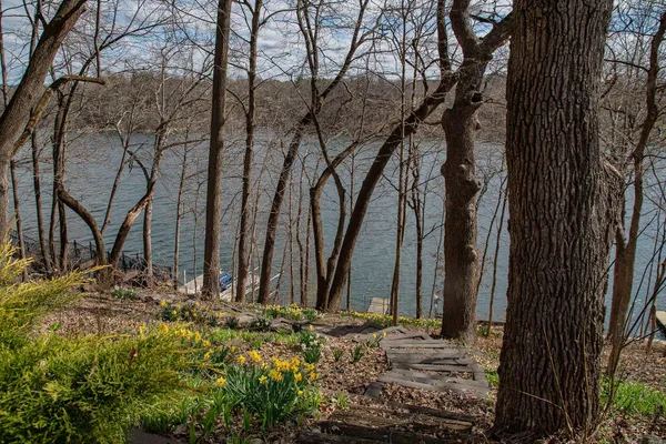 a view of a backyard of the house