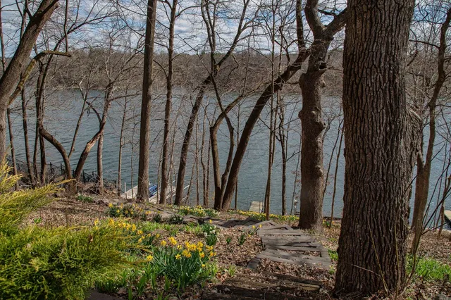 a view of a backyard of the house
