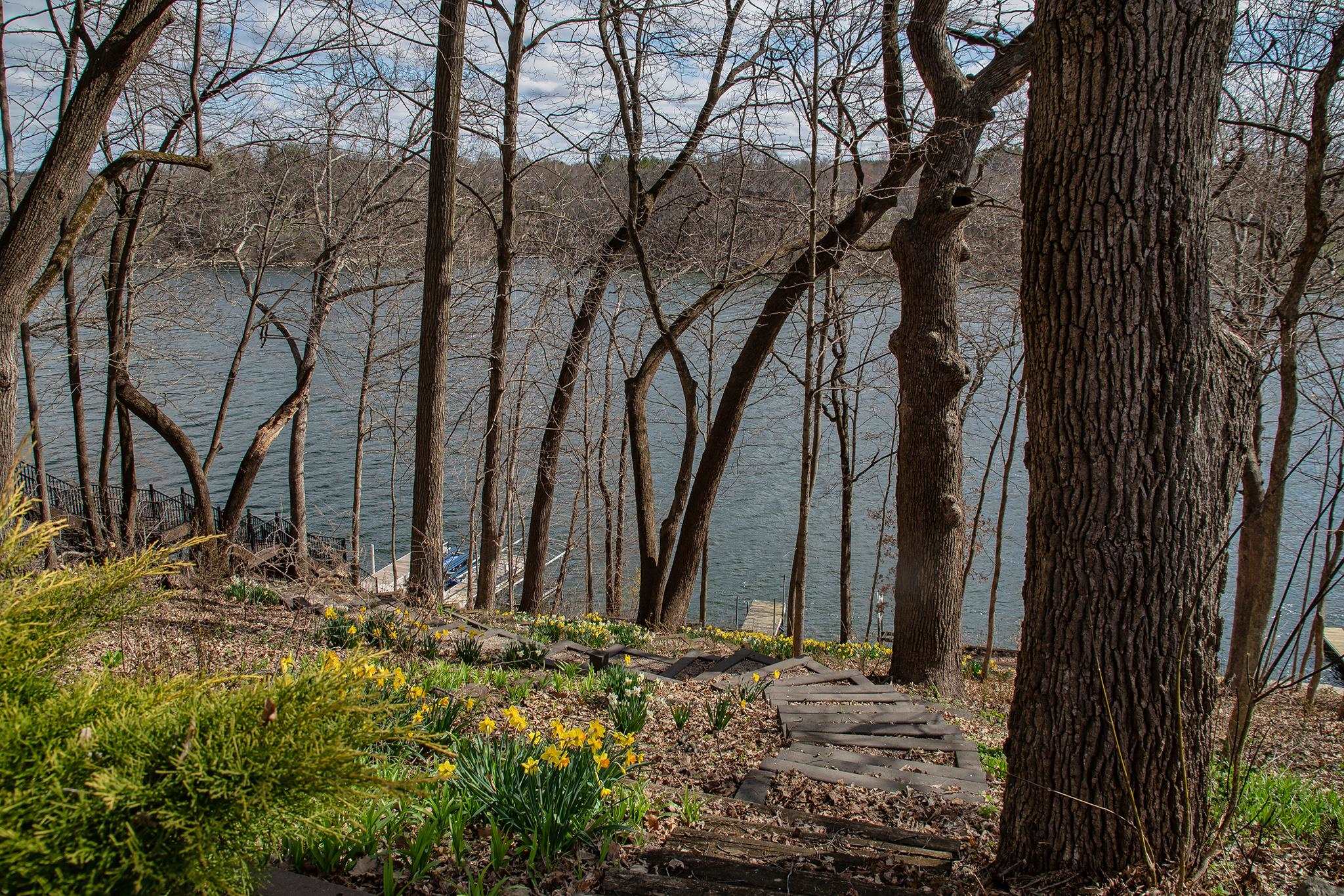 7-a252 Tomahawk Lane Apple River, IL 61001 - Photo 15 of 34 a view of a backyard of the house