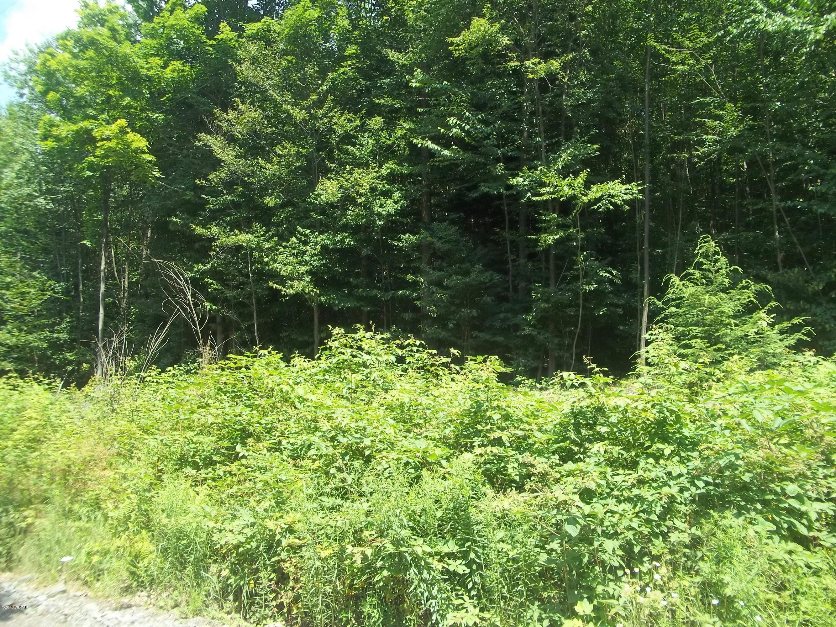 5 Hubtown Road Dushore, PA 18614 - Photo 1 of 2 100_2284