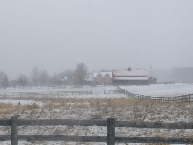 8925 2 Mile Road Northeast Ada, MI 49301 - Photo 15 of 15 View from Road