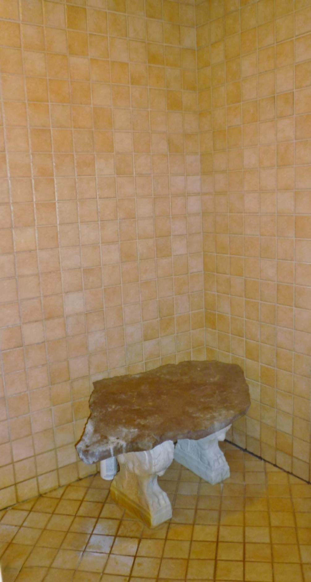 8925 2 Mile Road Northeast Ada, MI 49301 - Photo 8 of 15 Master Bath Shower