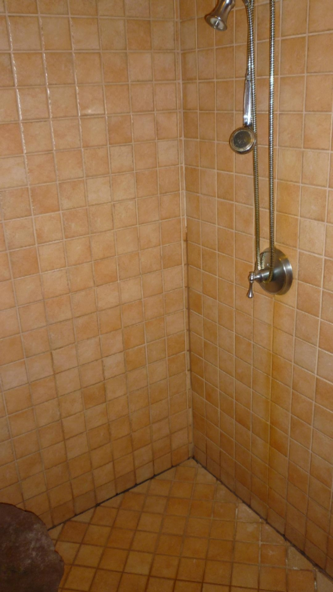 8925 2 Mile Road Northeast Ada, MI 49301 - Photo 9 of 15 Master Bath Shower