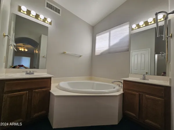 a bathroom with a tub a double vanity sink and a mirror