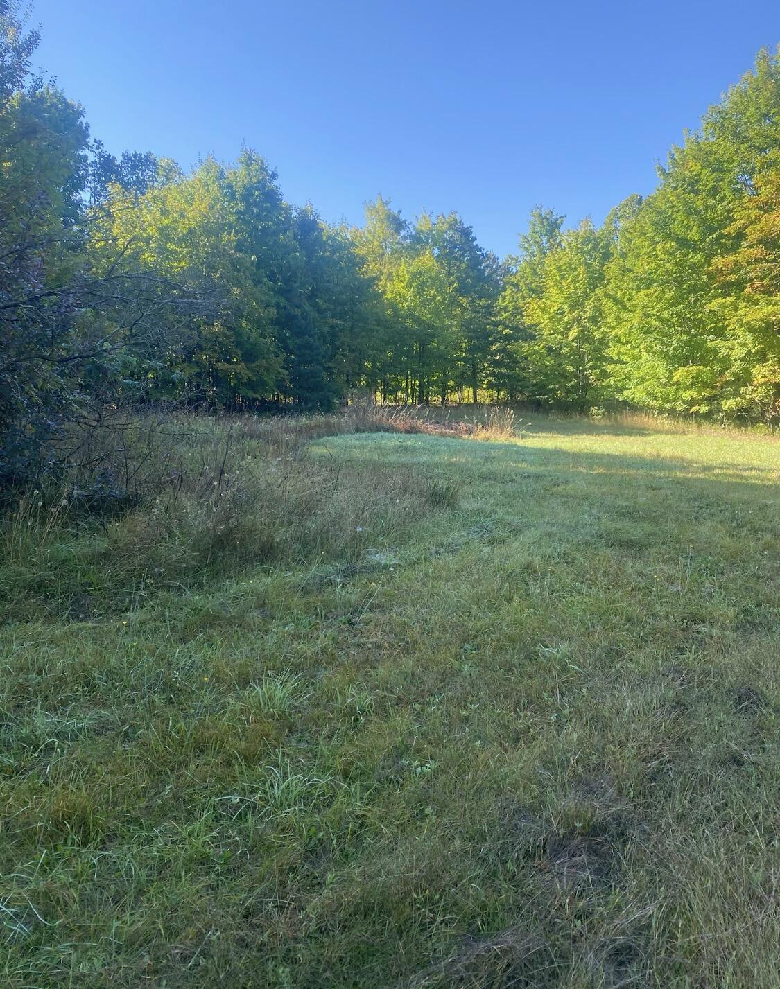 17055 Butwell Road Bear Lake, MI 49614 - Photo 7 of 16 07_beyc6a47b6c597175