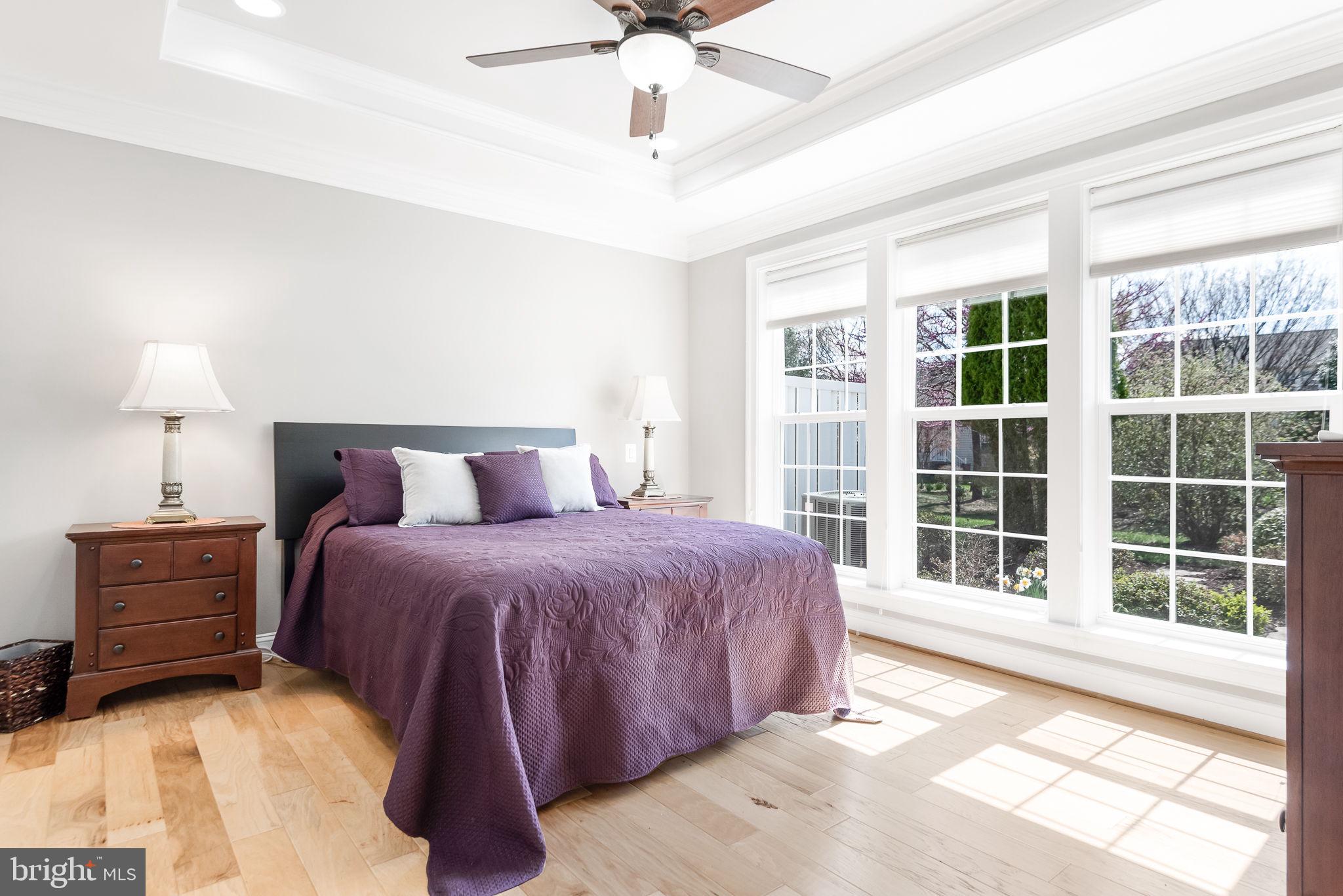 44465 Callaway Square Ashburn, VA 20147 - Photo 21 of 53 Primary Bedroom w/Wall of Windows