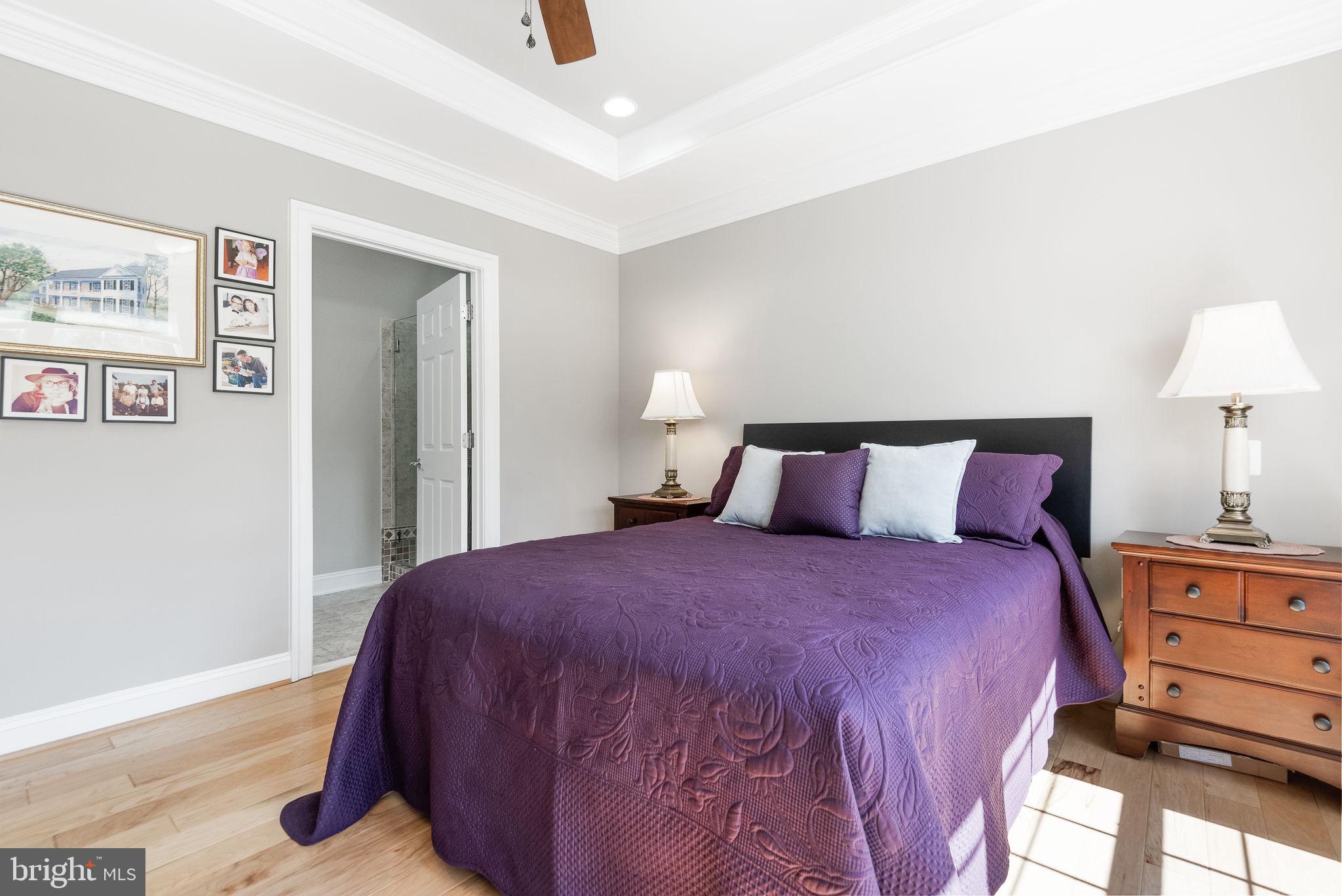 44465 Callaway Square Ashburn, VA 20147 - Photo 22 of 53 Primary Bedroom