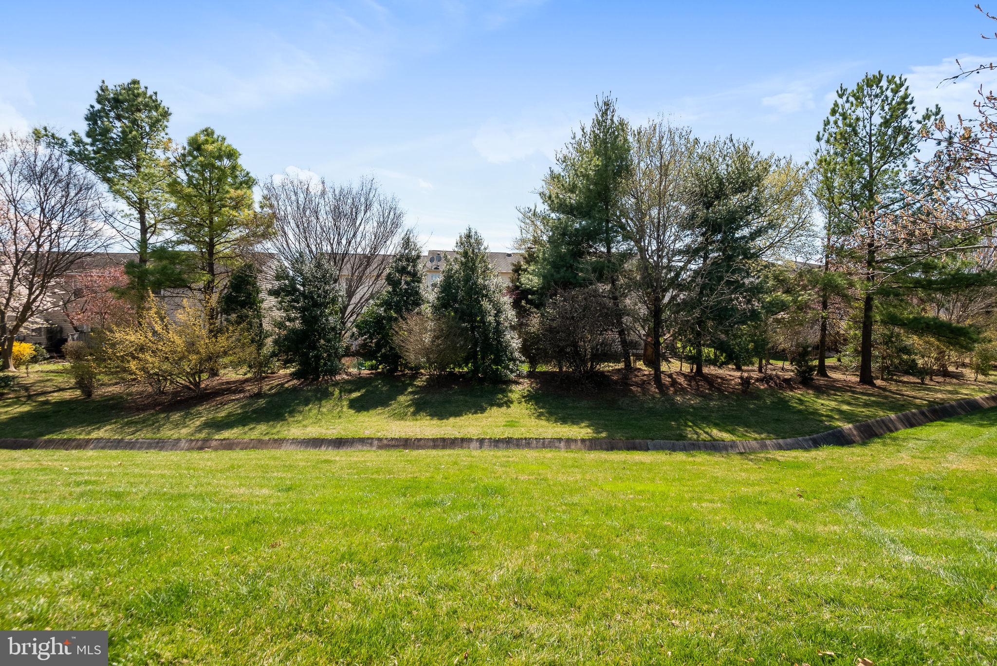44465 Callaway Square Ashburn, VA 20147 - Photo 43 of 53 View from Patio