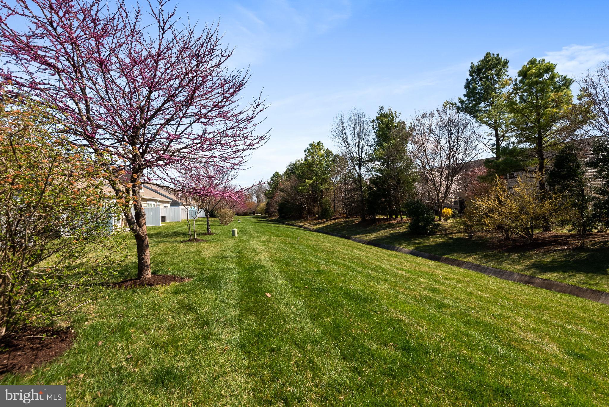 44465 Callaway Square Ashburn, VA 20147 - Photo 44 of 53 View from Back of House