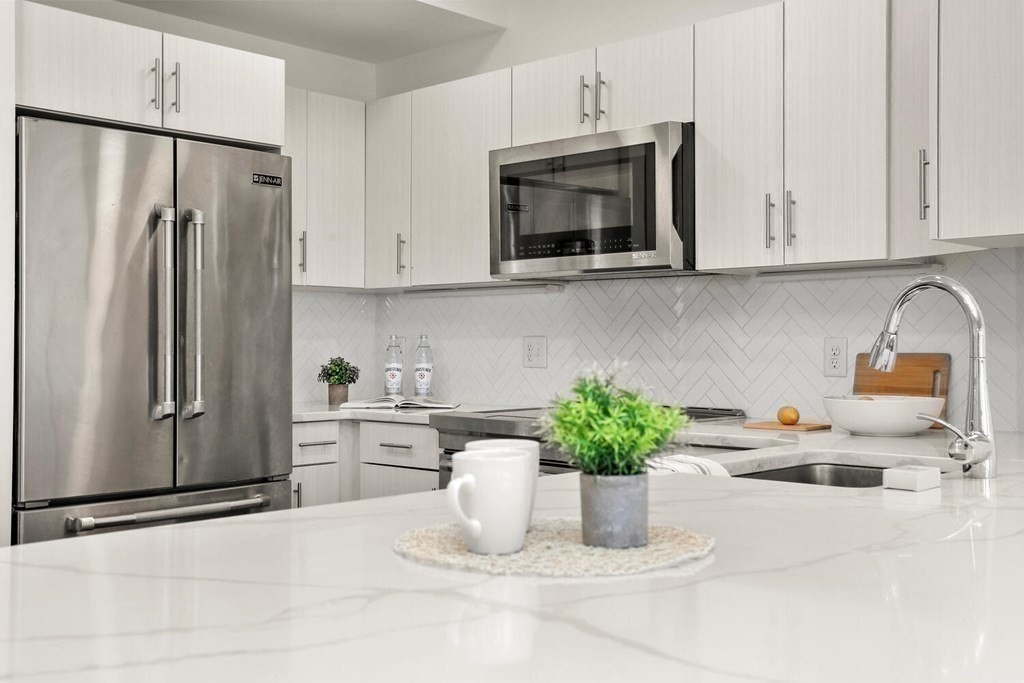 20 Penniman Road, Unit 202 Boston, MA 02134 - Photo 10 of 23 Gallery Image 10