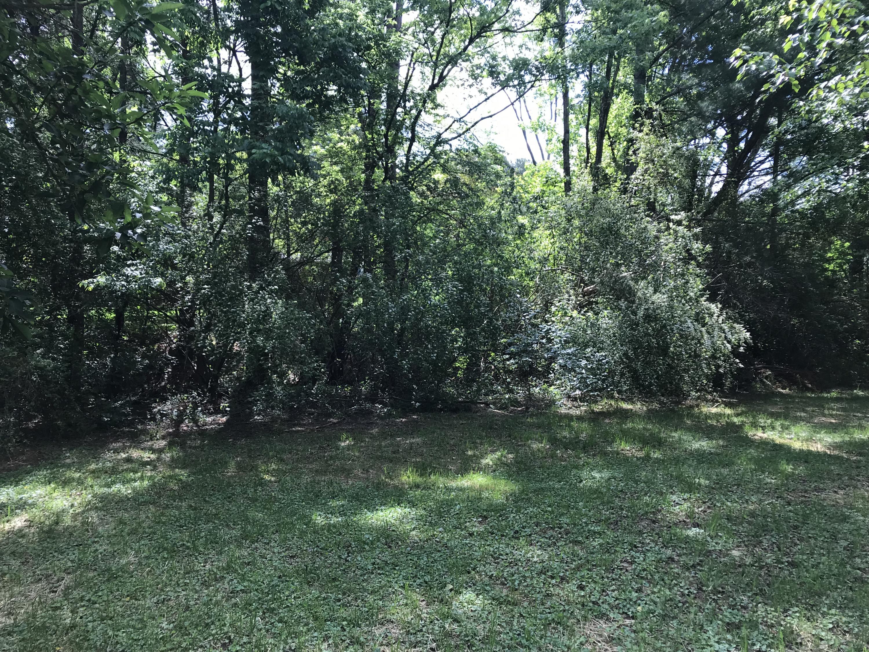 543 Blythe Ferry Road Northeast Cleveland, TN 37312 - Photo 20 of 22 IMG_8152