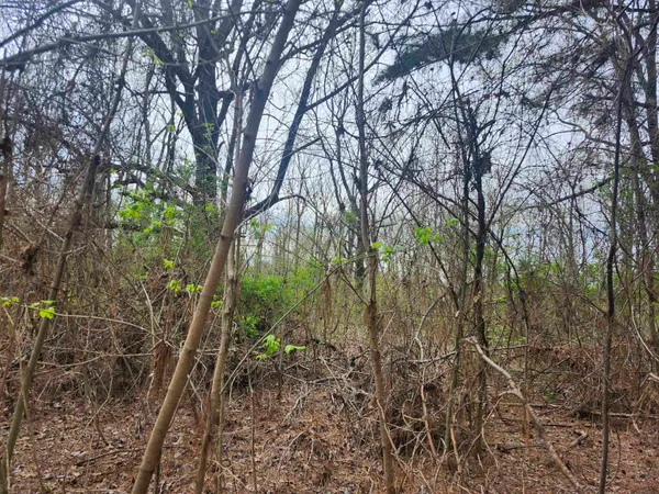 $80,000 | 410 Brown Road, Drummonds, TN 38023
