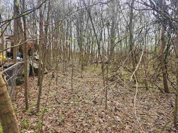 $80,000 | 410 Brown Road, Drummonds, TN 38023