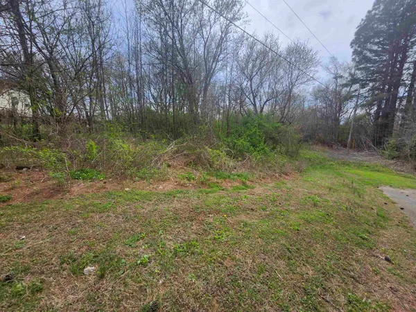 a view of a yard with a tree