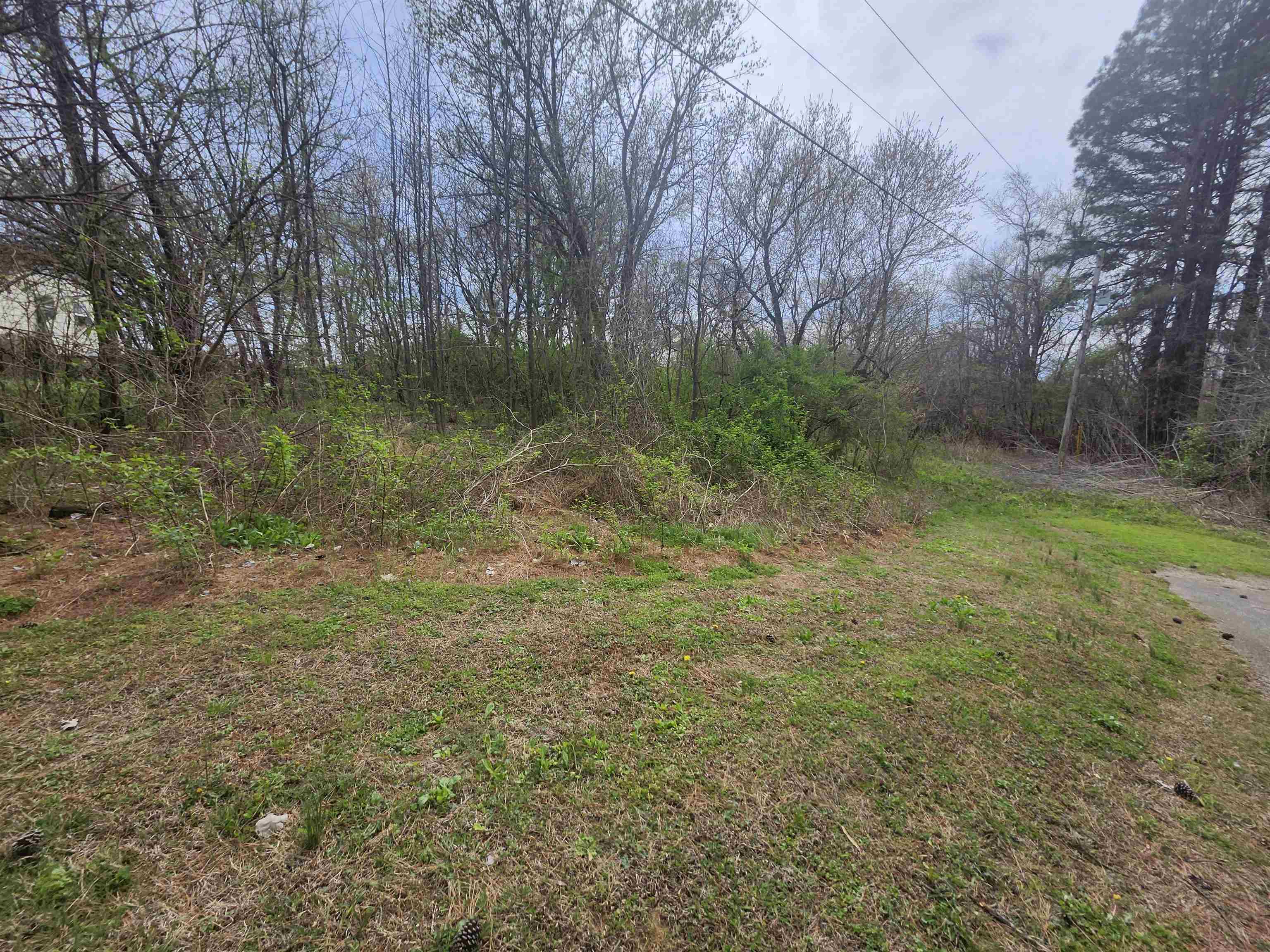 410 Brown Road Drummonds, TN 38023 - Photo 4 of 12 a backyard of a house with lots of green space