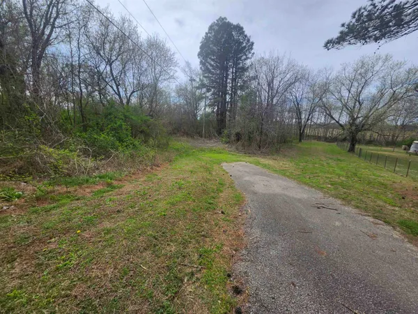 a big yard with lots of green space and plants