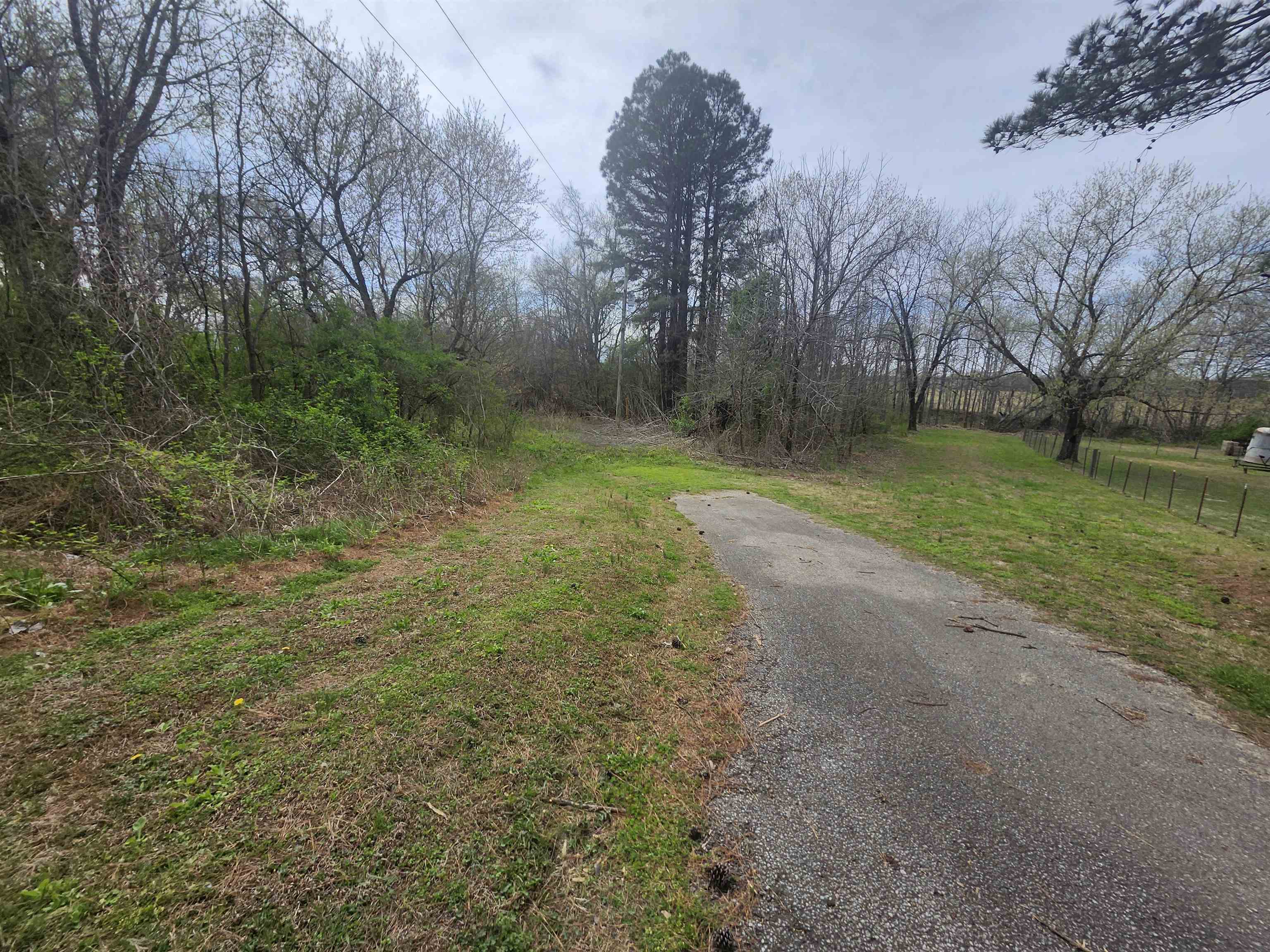 410 Brown Road Drummonds, TN 38023 - Photo 5 of 12 a view of a yard with a tree
