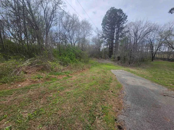 a big yard with lots of green space and deers