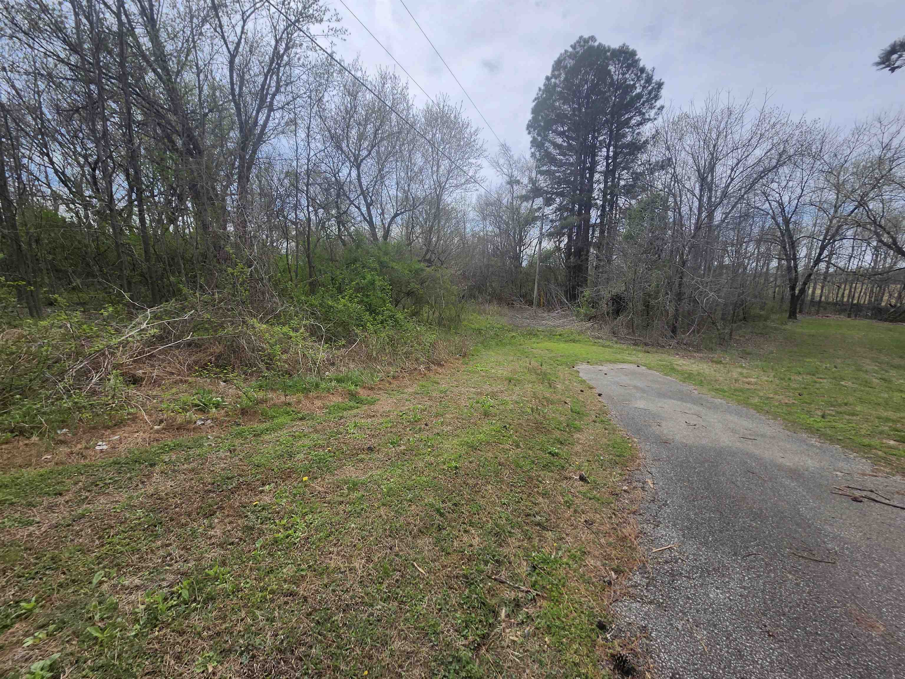 410 Brown Road Drummonds, TN 38023 - Photo 6 of 12 a big yard with lots of green space and plants
