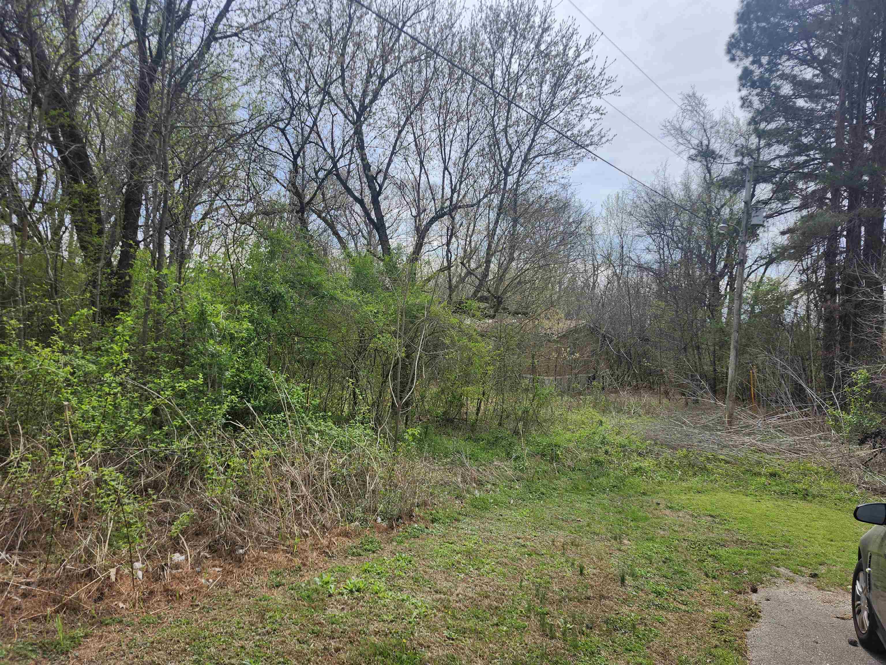 410 Brown Road Drummonds, TN 38023 - Photo 7 of 12 a big yard with lots of green space and deers
