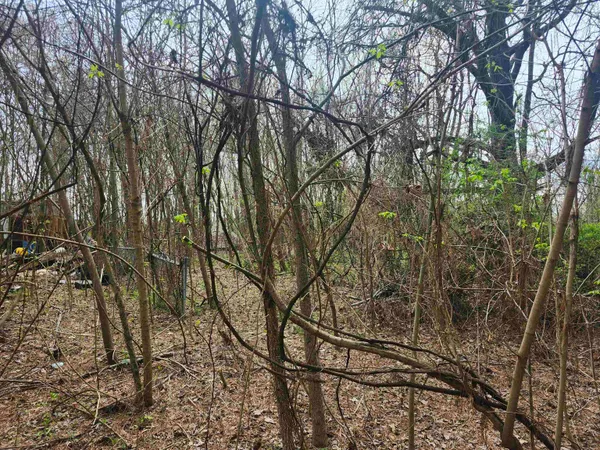 $80,000 | 410 Brown Road, Drummonds, TN 38023