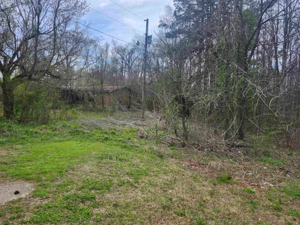 $80,000 | 410 Brown Road, Drummonds, TN 38023