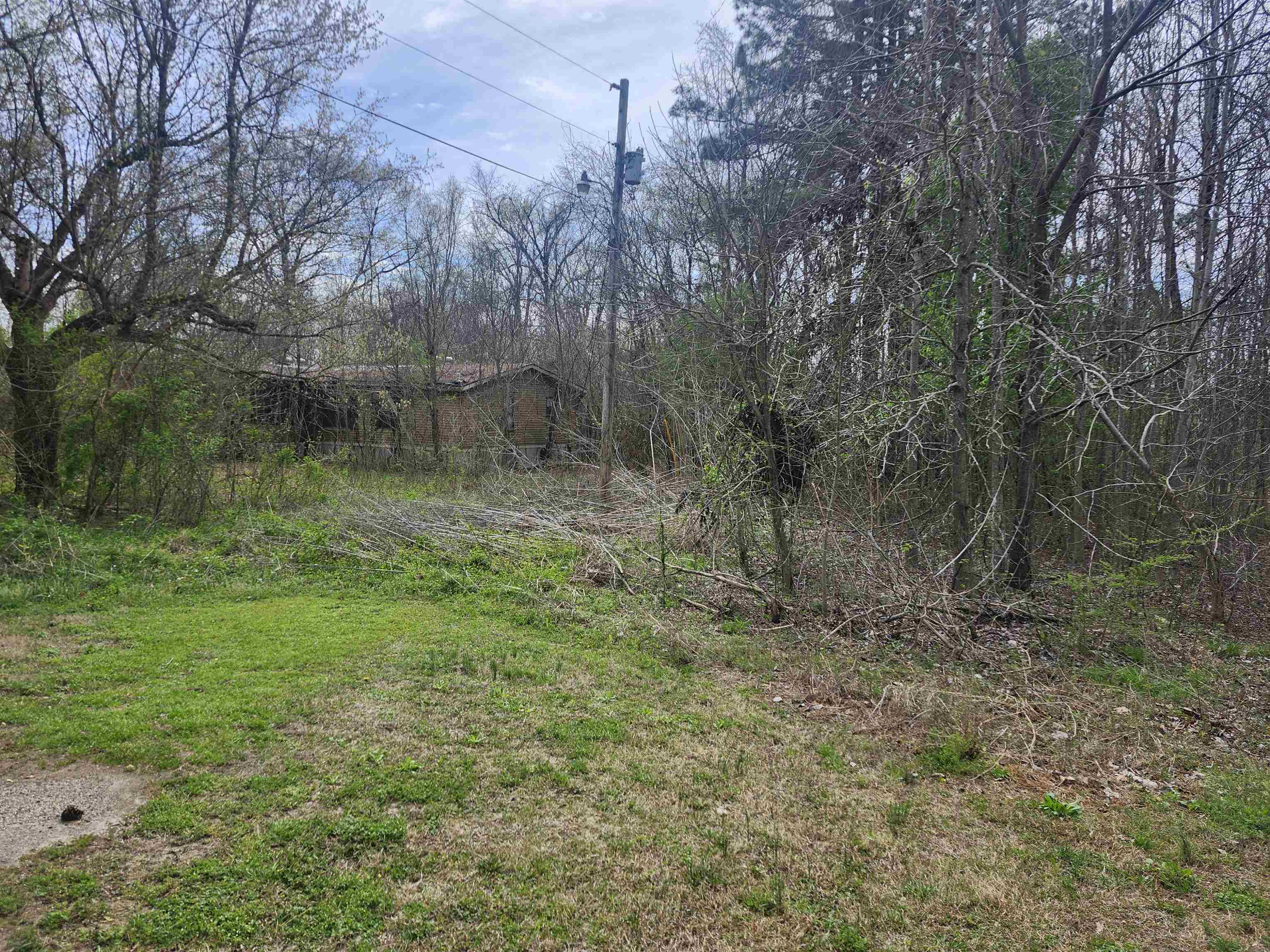 410 Brown Road Drummonds, TN 38023 - Photo 10 of 12 a view of a forest