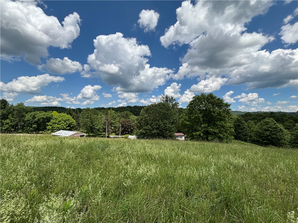 1267 Gorton Road Hamilton, NY 13332 - Photo 3 of 42