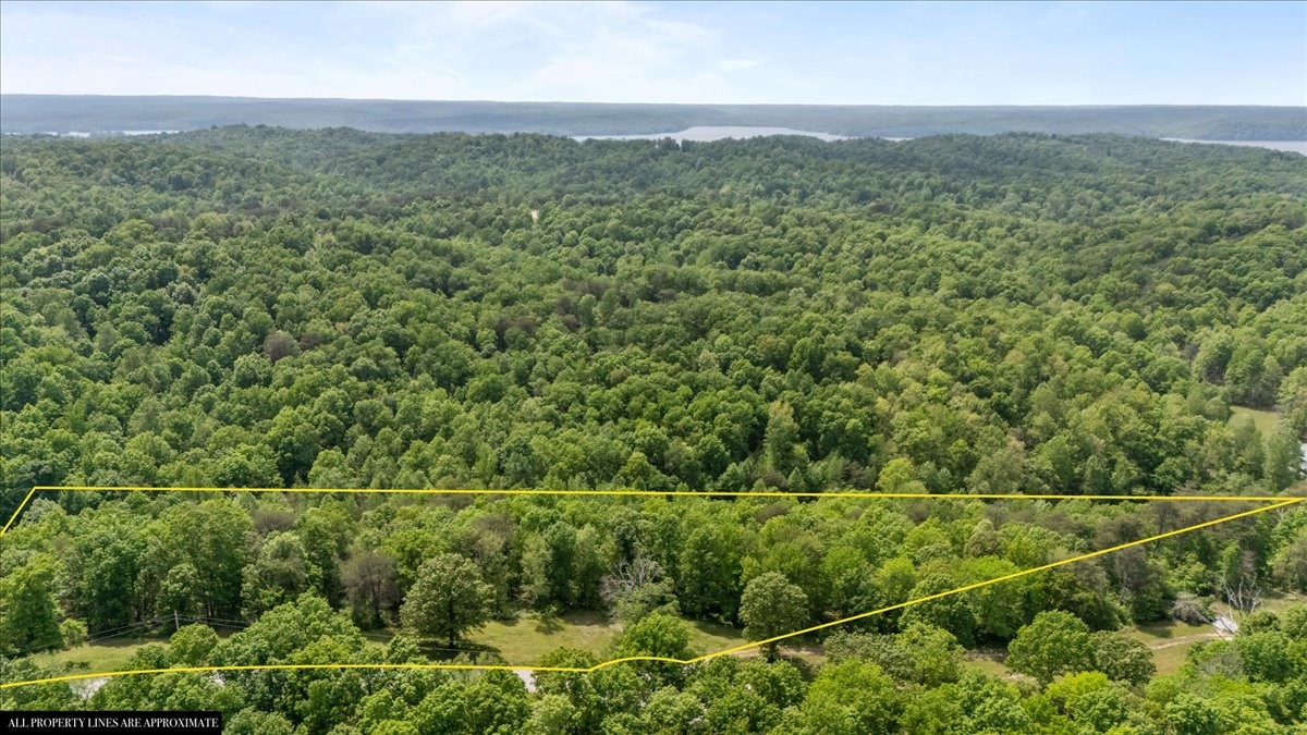 211 Minnow Road Waverly, TN 37185 - Photo 8 of 24