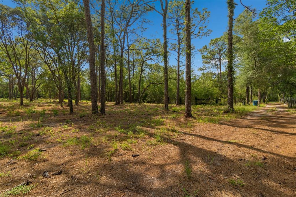 Grove Road Brooksville, FL 34613 - Photo 7 of 26