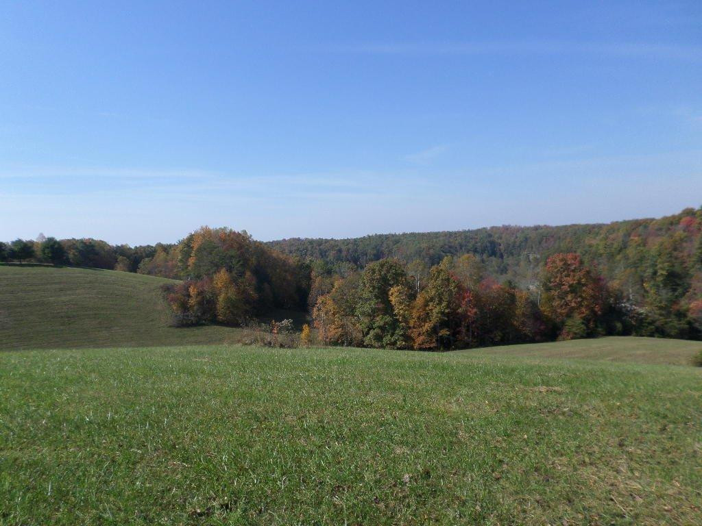 1414 Heizer Hill Road Wellington, KY 40387 - Photo 43 of 46 Photo 43