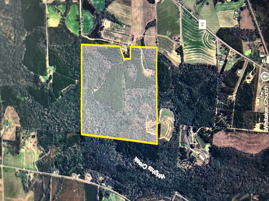 923 Lakeview Road Slocomb, AL 36375 - Photo 7 of 45