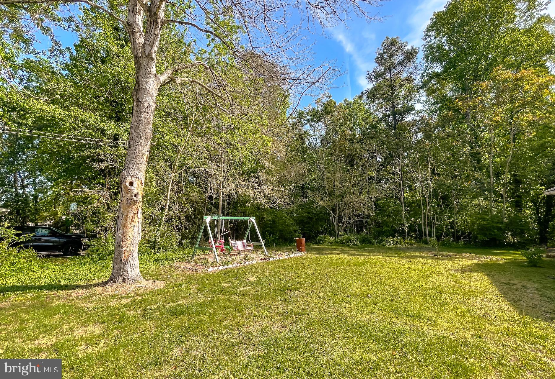 25102 Three Notch Road Hollywood, MD 20636 - Photo 47 of 57 Large Backyard, level, playset and Shed
