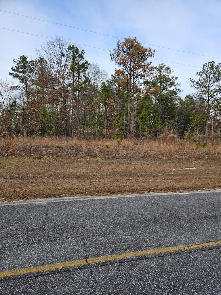 471 Old Louvale Road Cusseta, GA 31805 - Photo 3 of 26 Gallery Image 3