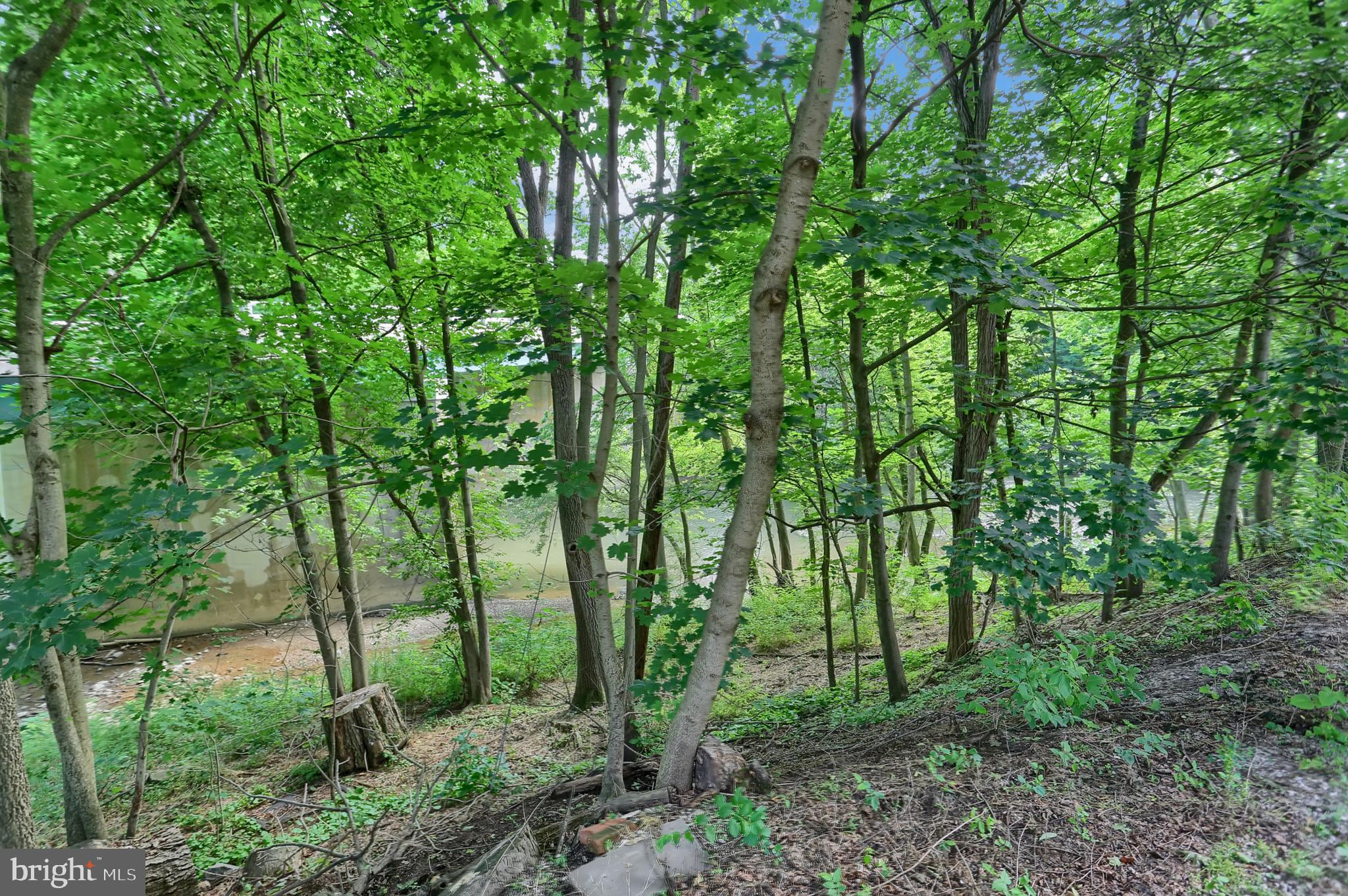 11026 Welsh Run Road Greencastle, PA 17225 - Photo 4 of 59 View of the creek