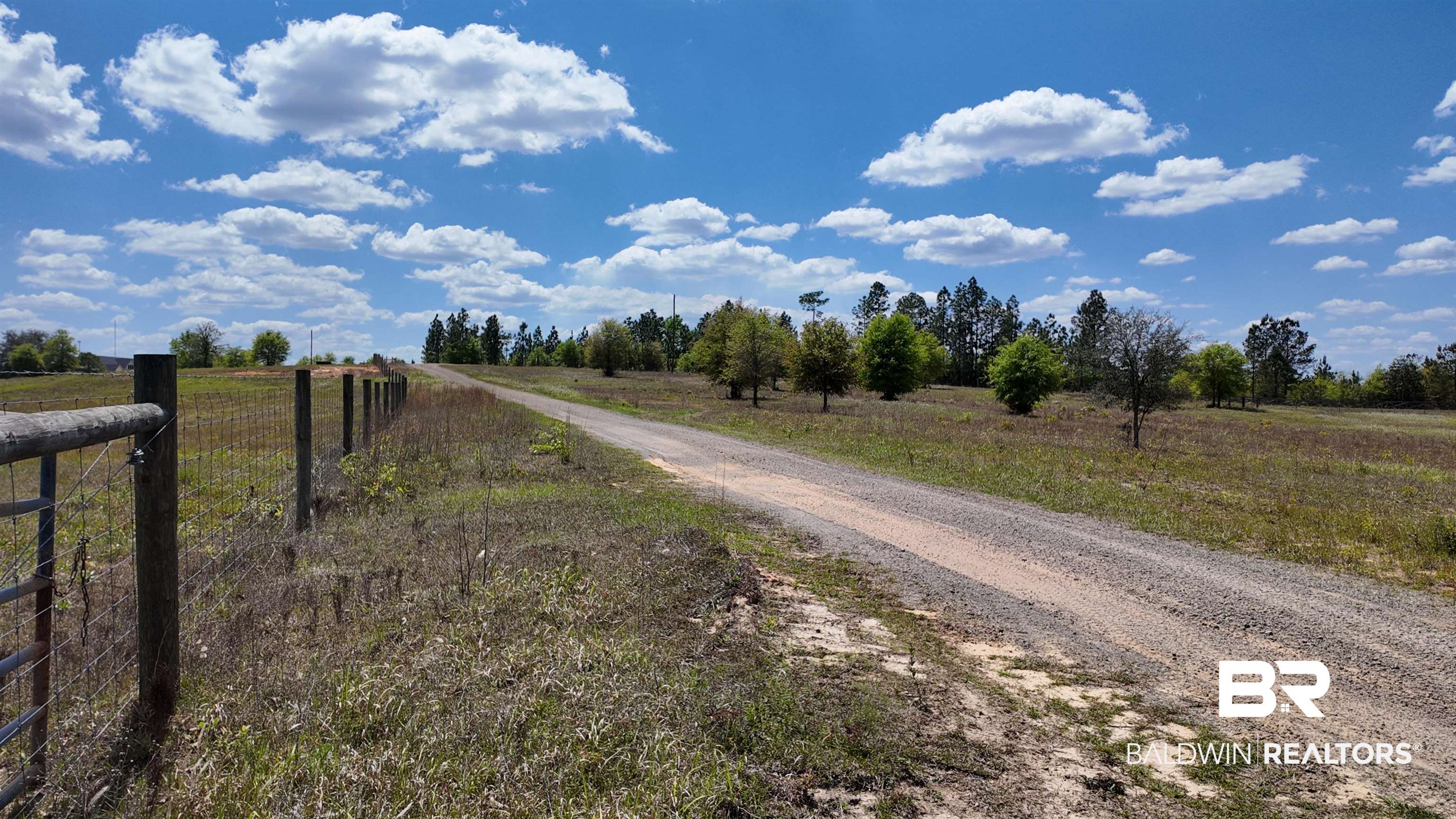 0 Powell Road Eight Mile, AL 36613 - Photo 14 of 57