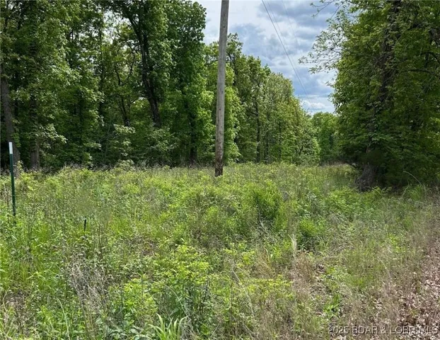 $22,500 | Tbd Ozark Trail, Lincoln, MO 65338