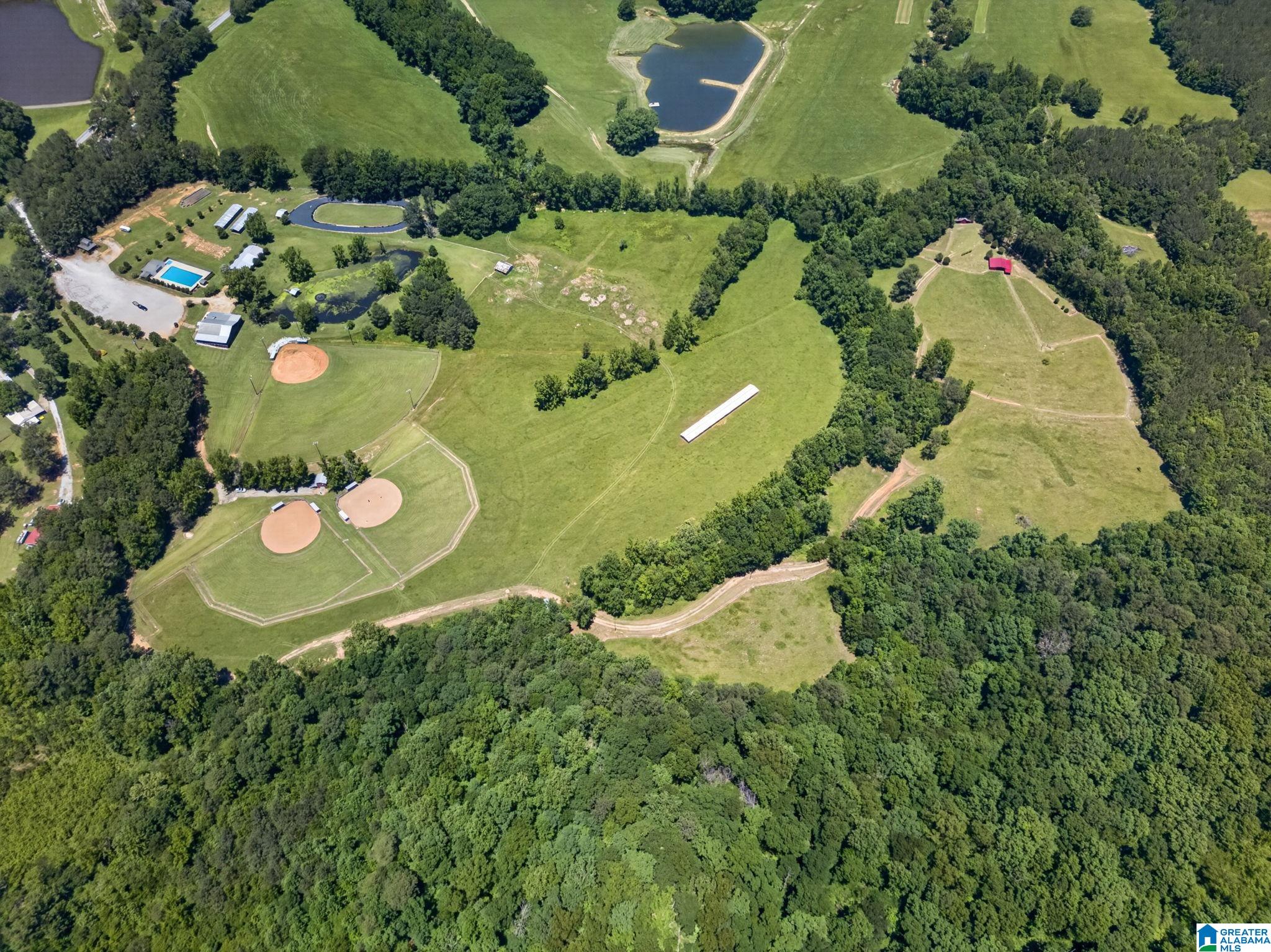 3463 County Road 3 Delta, AL 36258 - Photo 4 of 100