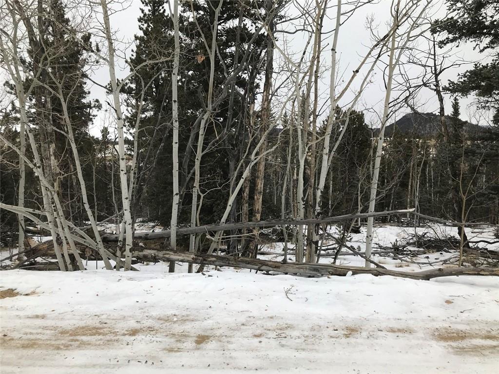211 Smith And Wesson Road Como, CO 80432 - Photo 2 of 7 Gallery Image 2