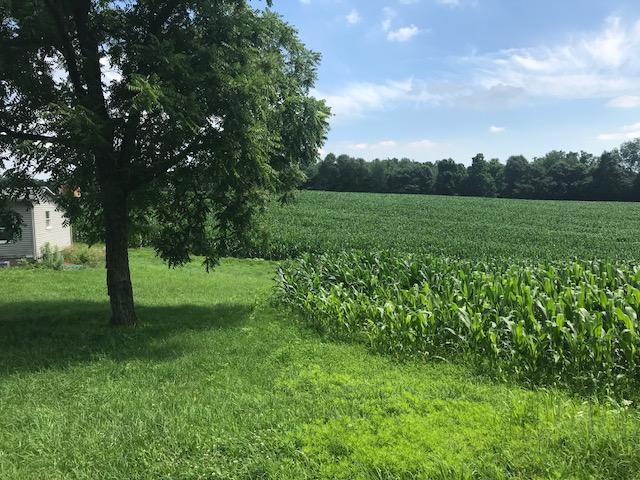 11721 Peatmoss Road Utica, OH 43080 - Photo 3 of 10
