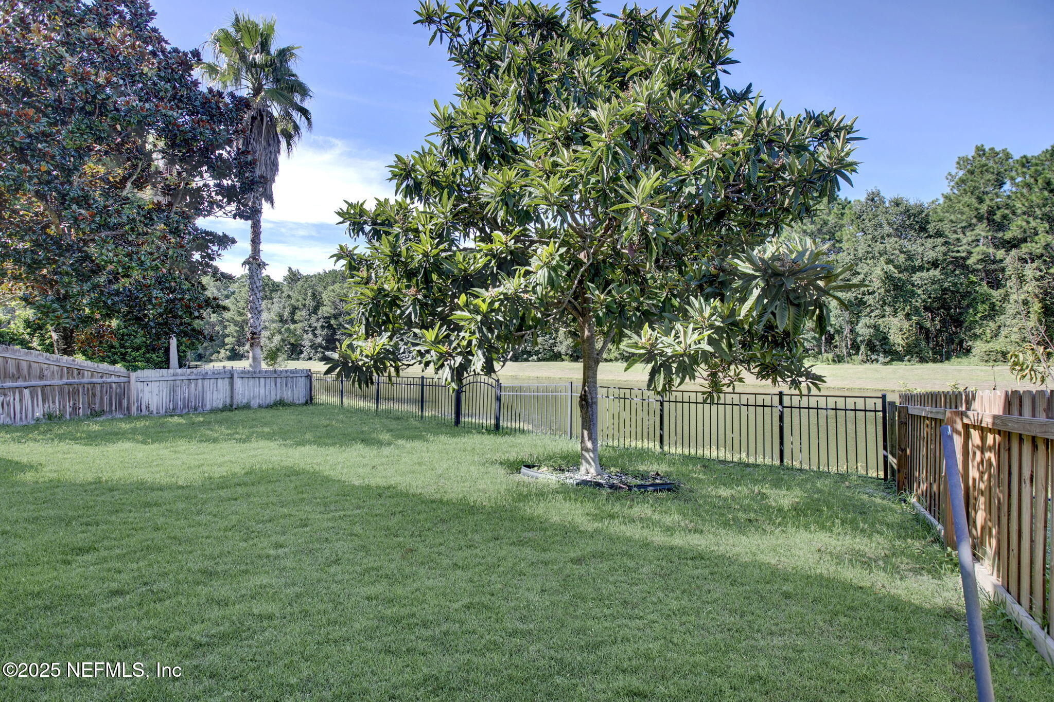 1840 Rear Admiral Lane St. Johns, FL 32259 - Photo 29 of 57 29-web-or-mls-IMG_0366