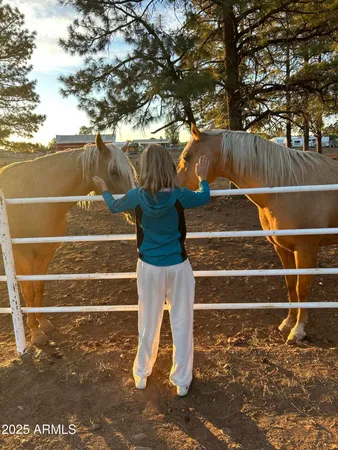 $1,825 | 2399 Quarter Horse Trail, Unit 241, Overgaard, AZ 85933