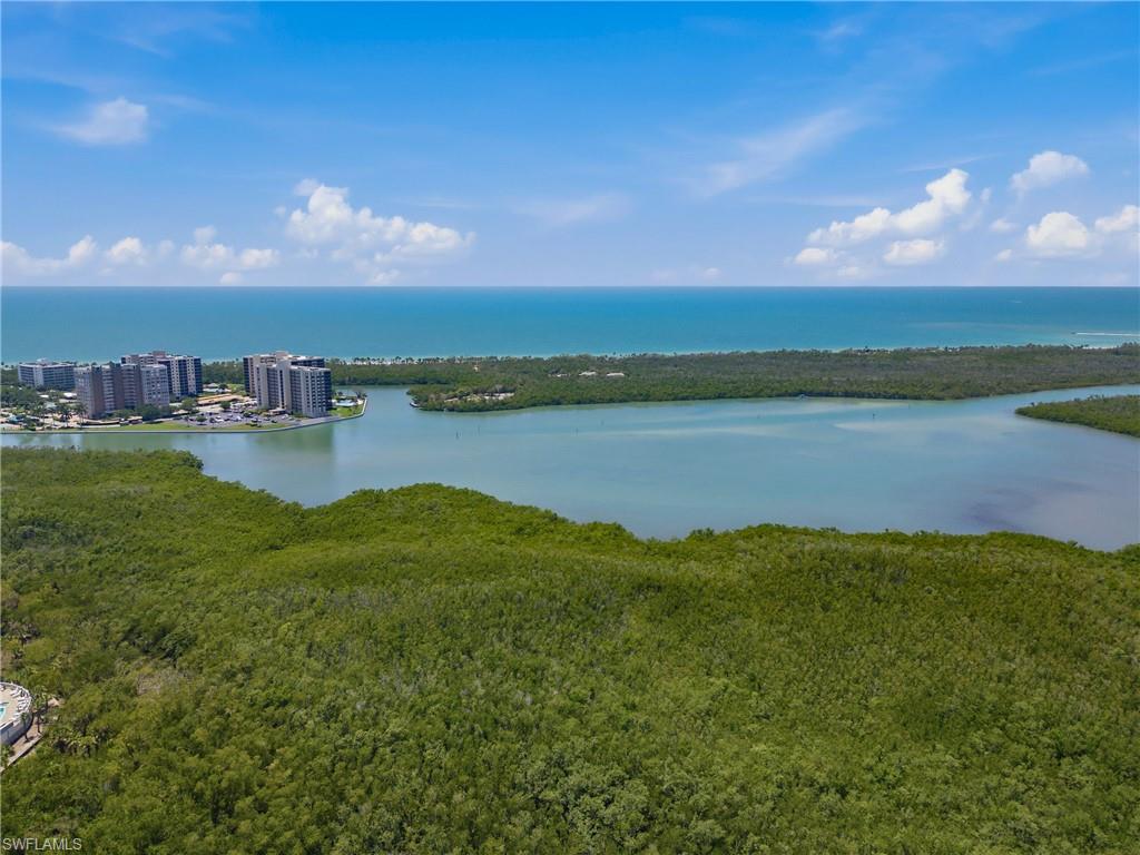 265 Indies Way, Unit 1004 Naples, FL 34110 - Photo 29 of 34 a view of a lake in middle of a town