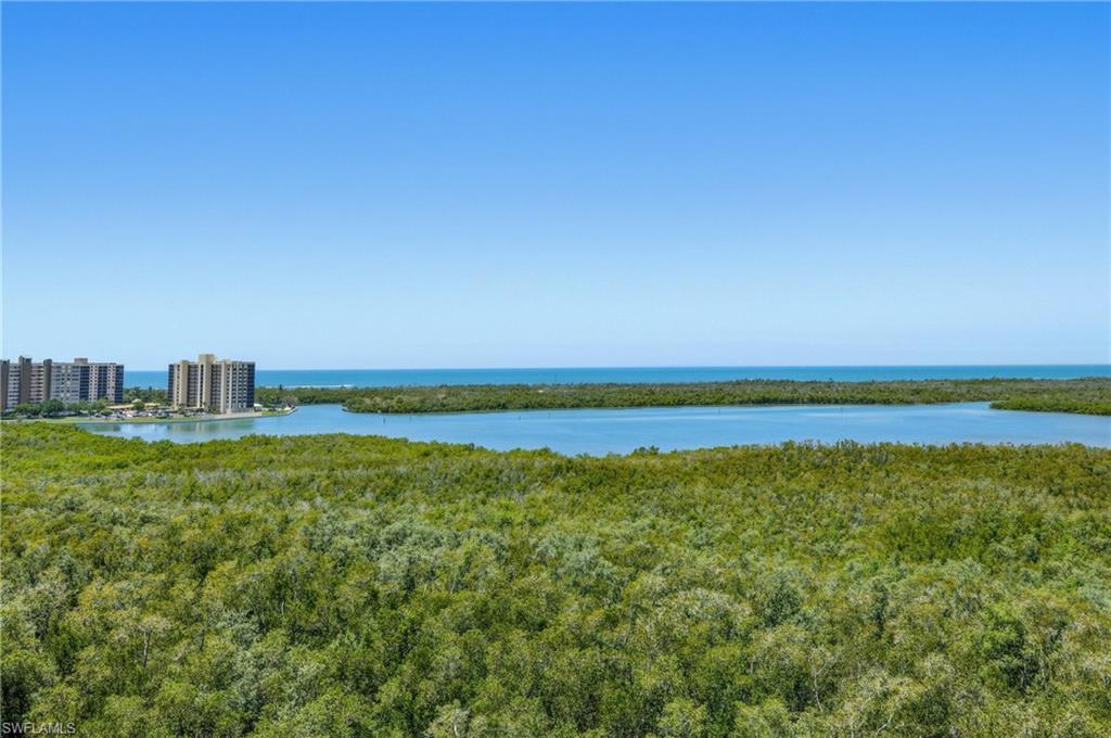265 Indies Way, Unit 1004 Naples, FL 34110 - Photo 30 of 34 a view of an ocean