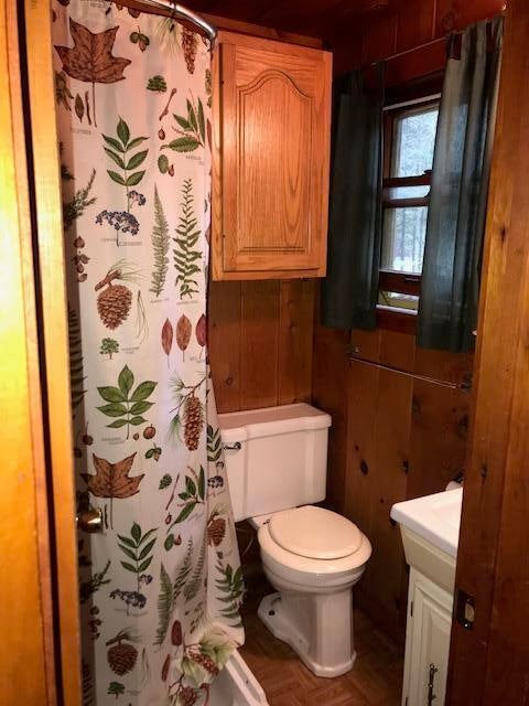 10983 Cope Road Onaway, MI 49765 - Photo 69 of 75 Gallery Image 69