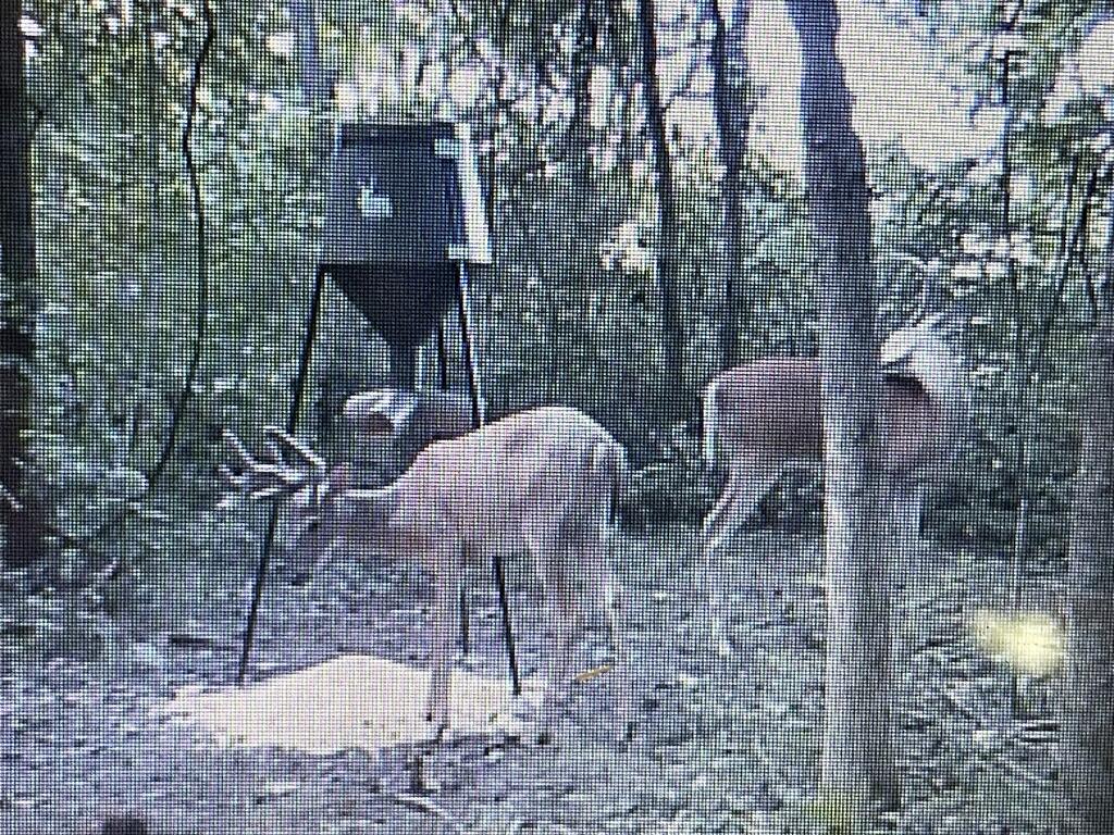 0 Olaton Road Olaton, KY 42361 - Photo 16 of 20 Gallery Image 16