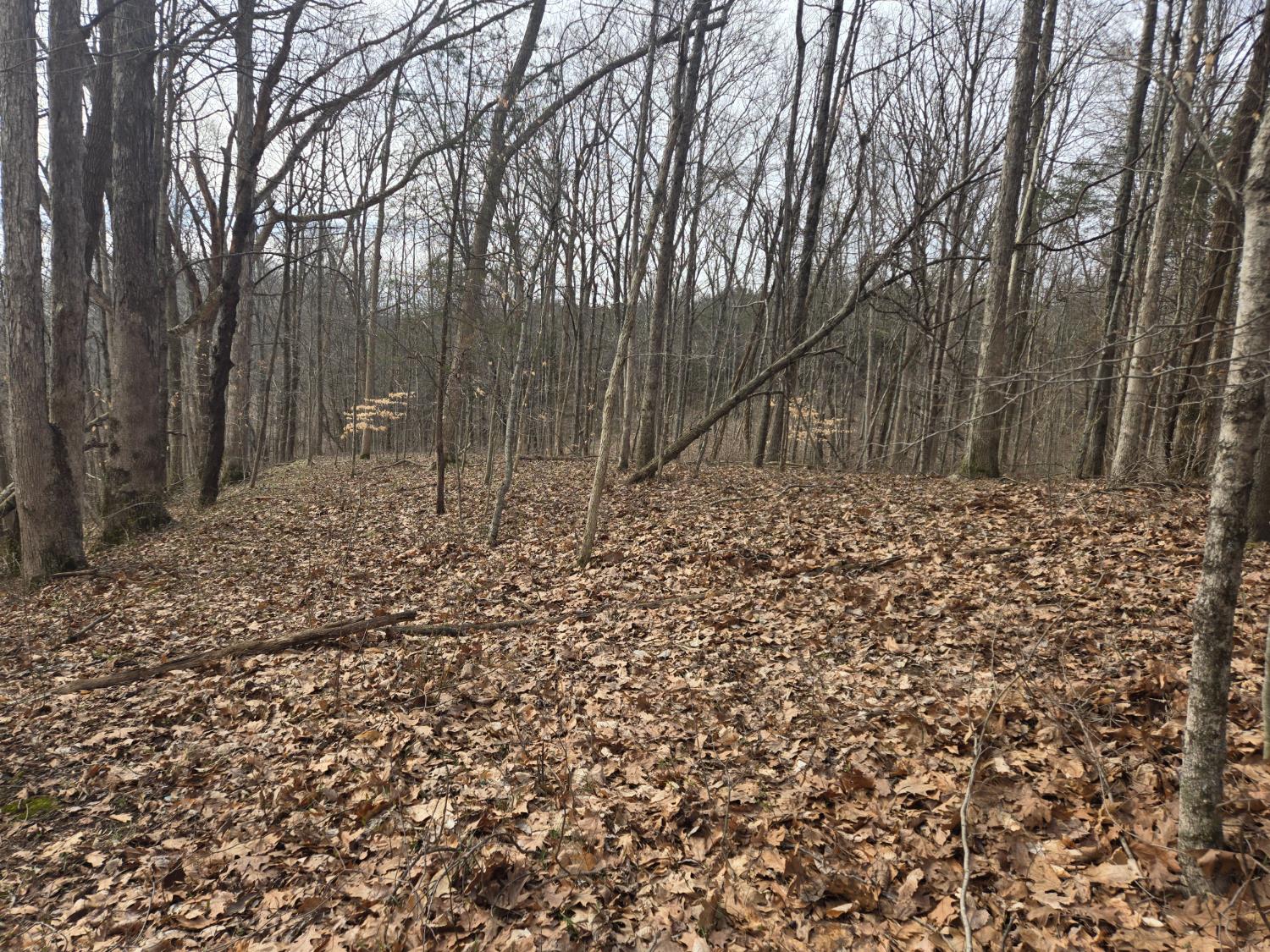 48 Mettle Road Laurel, IN 47024 - Photo 17 of 23