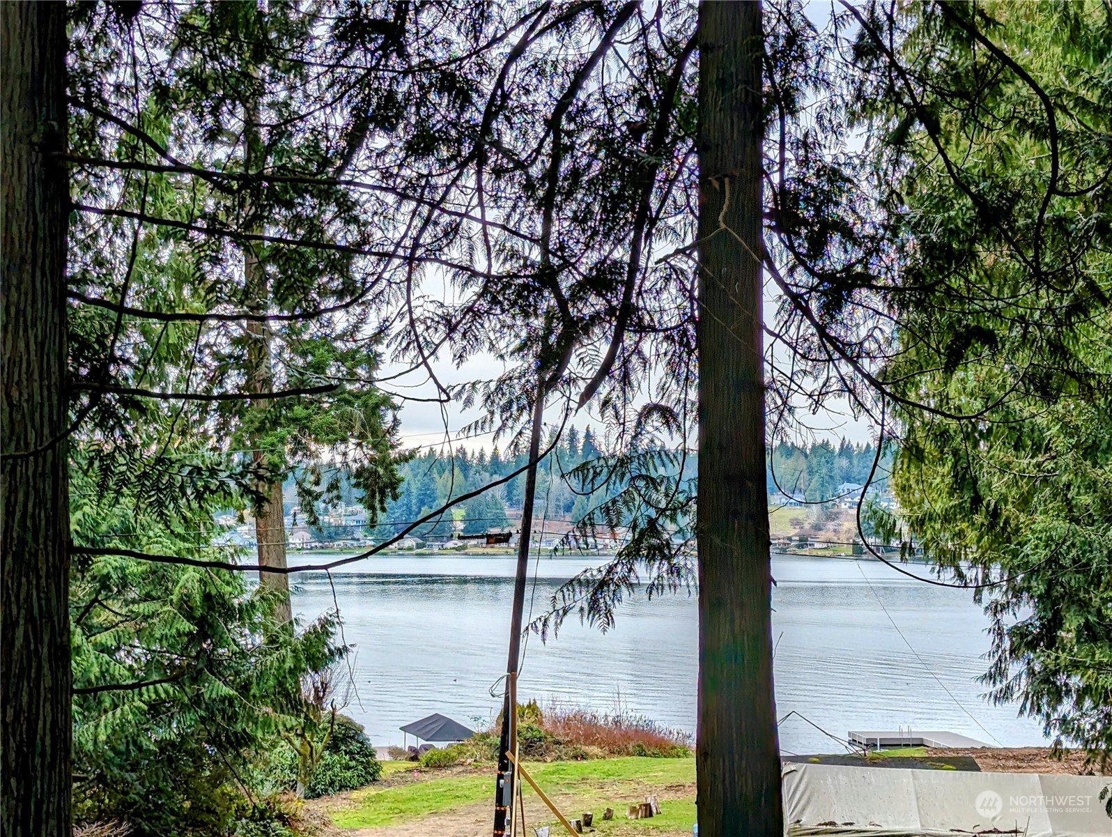 a view of lake from a tree
