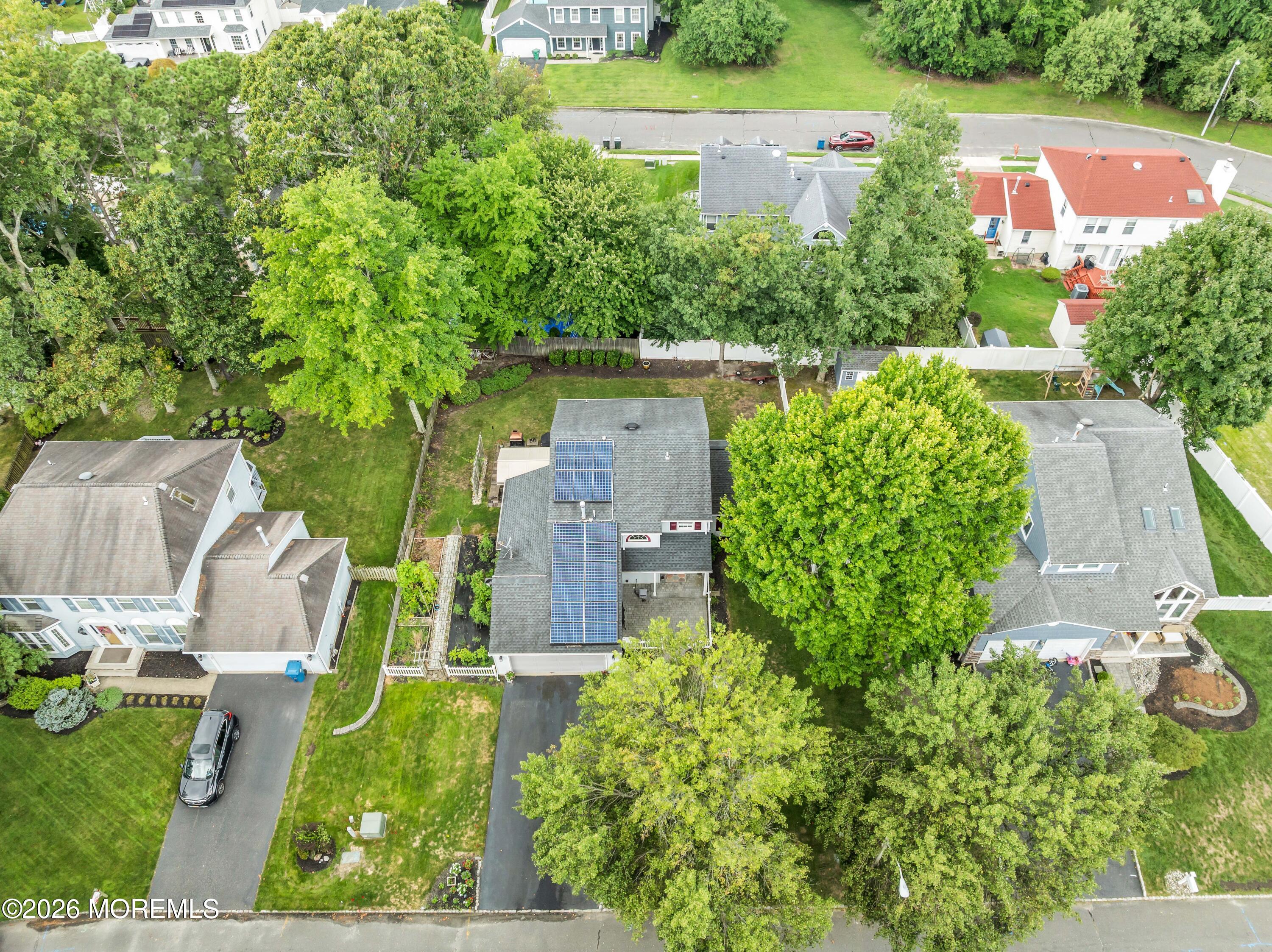 photos_high_resolution_DJI_0595